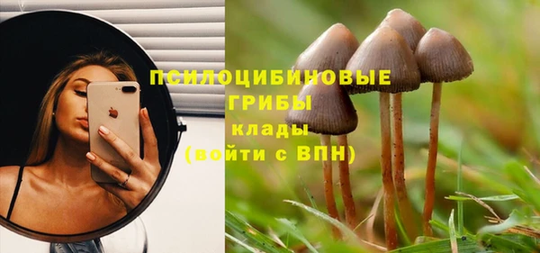 индика Лиски