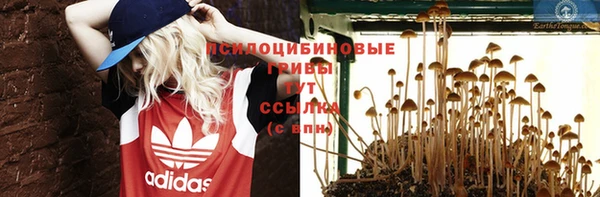 индика Лиски