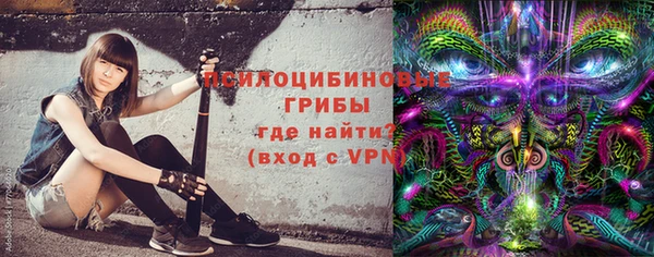индика Лиски